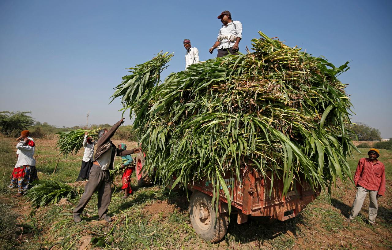 farmers Reuters1