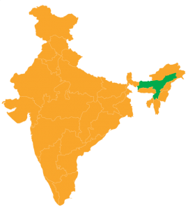 Assam Image 1